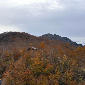 展望台に行ってみました。