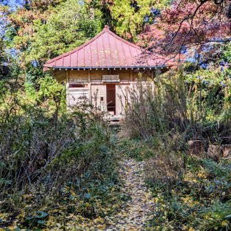 富山南峰
福万寺の観音堂がありましたが、周囲は荒れ果てていました😱
富山を「里見八犬士終焉の地」とするなら、整備されて明るい北峰より、南峰の方がふさわしいかもしれません😁