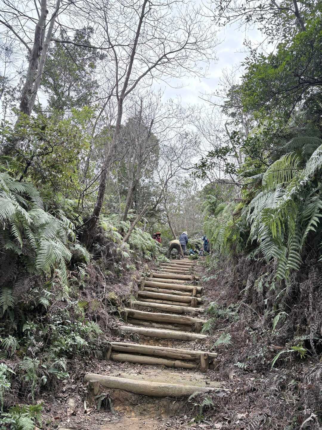 旅伏山登山口-旅伏峰 往復コースの写真