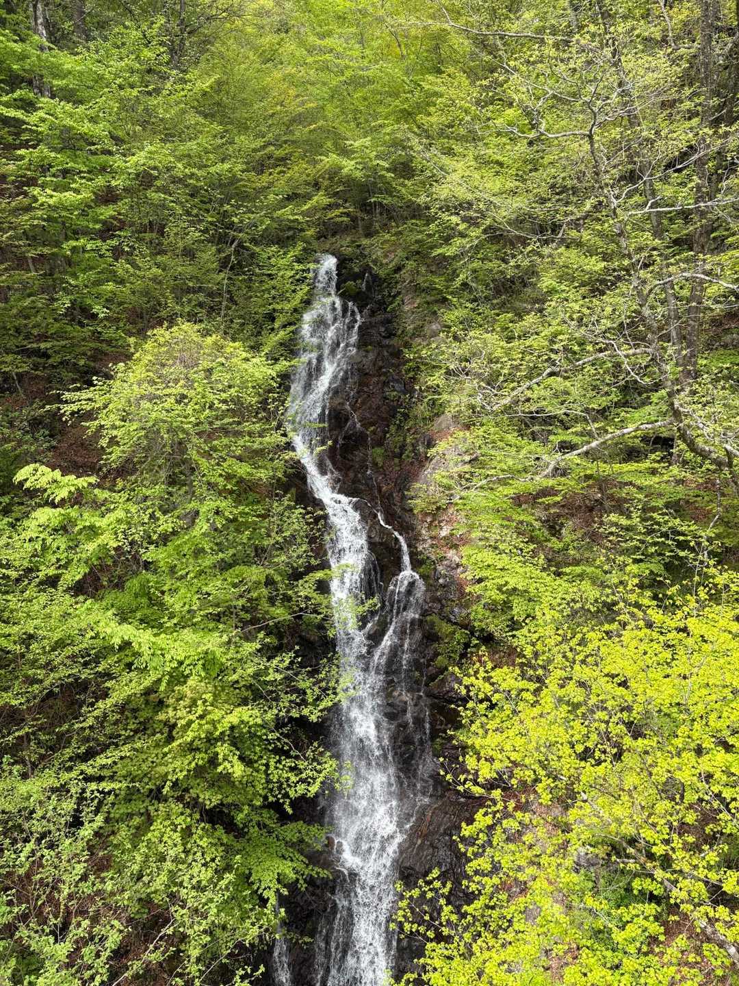三頭大滝
