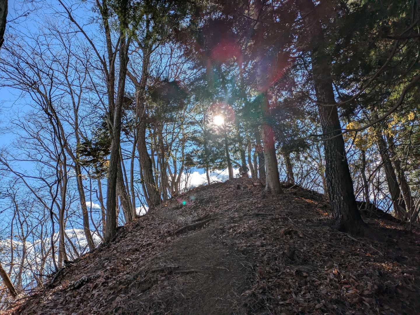 馬立山の少し手前。行く手に太陽