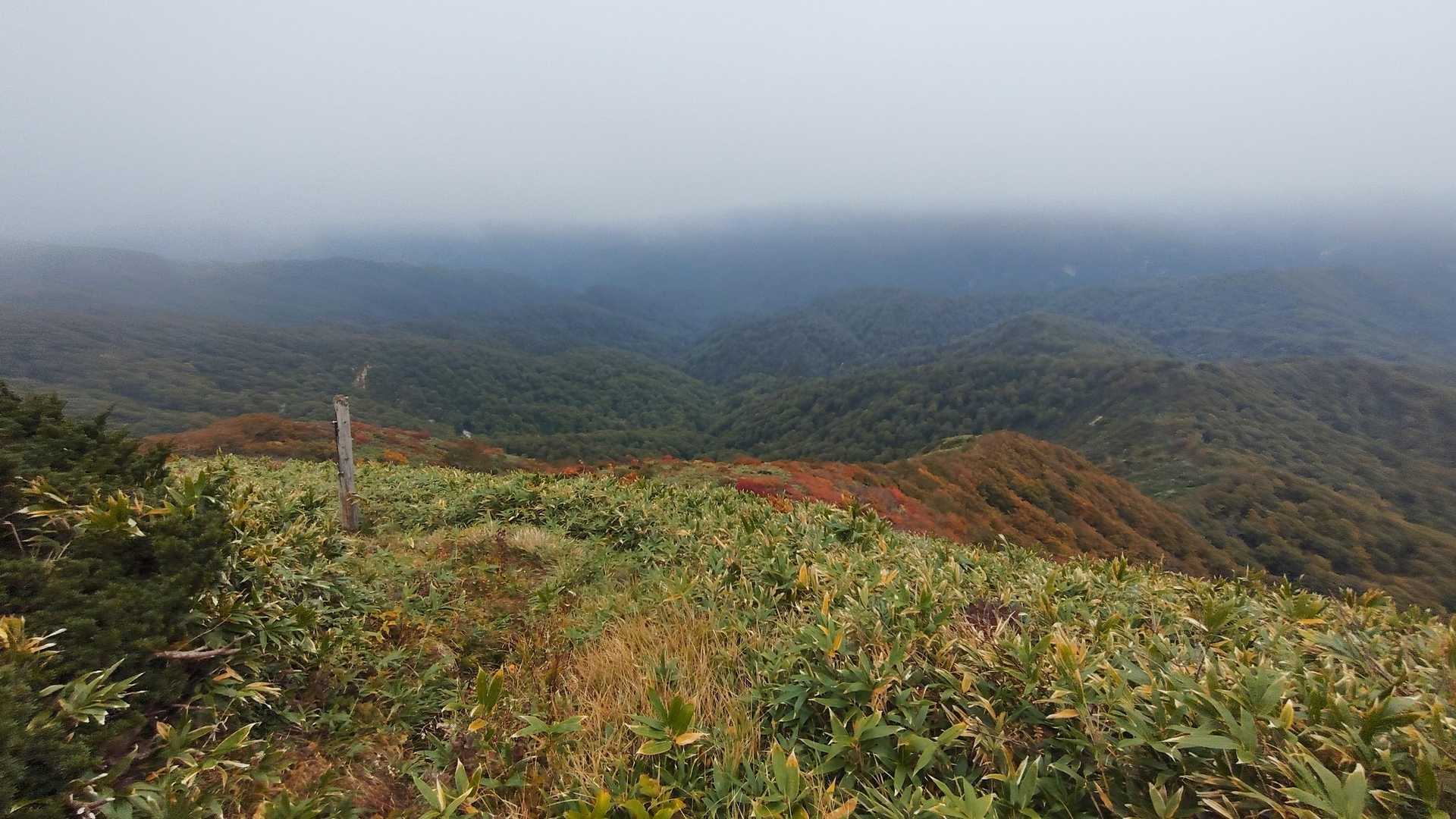 山頂からの紅葉！