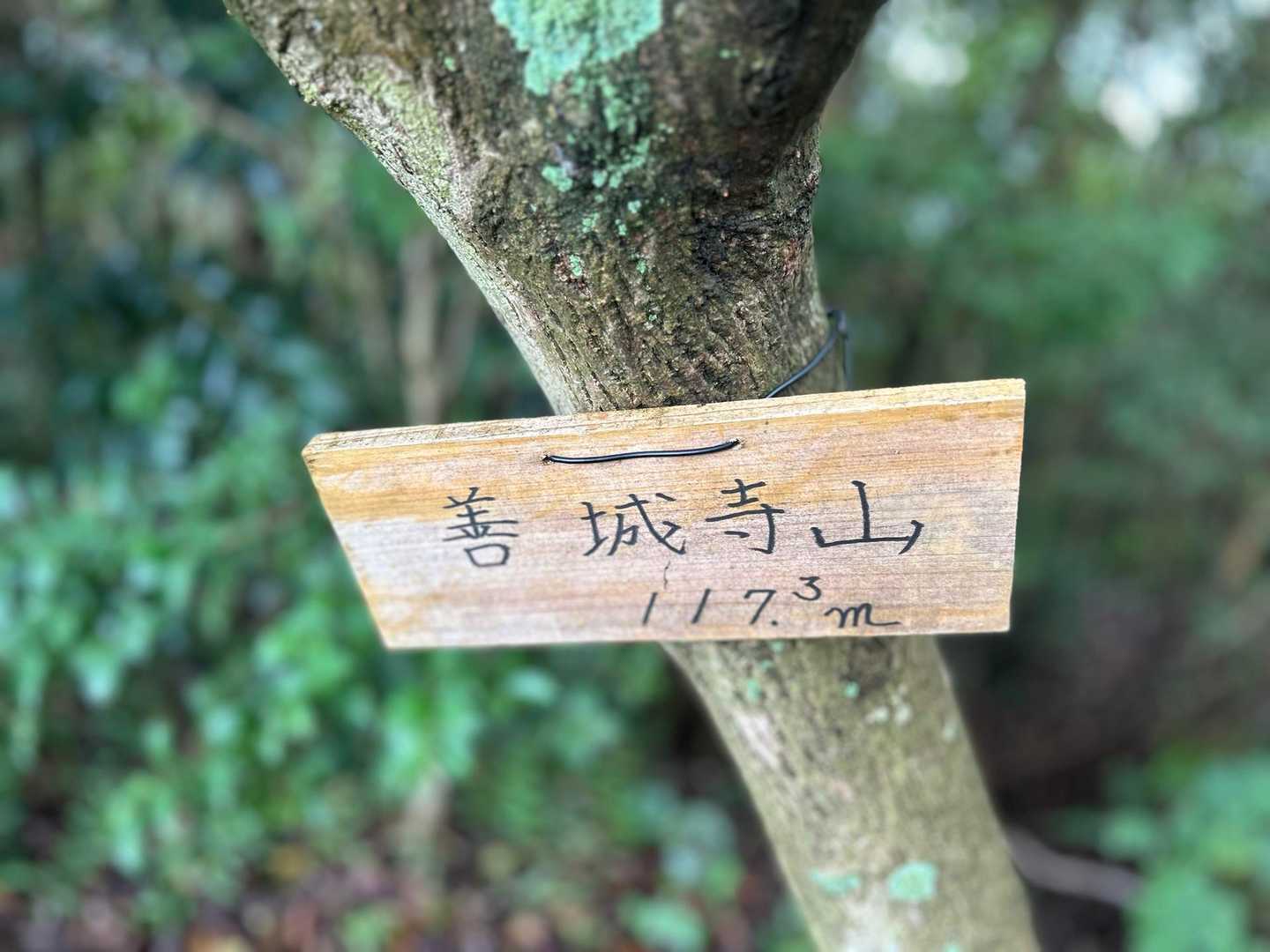 山頂標識