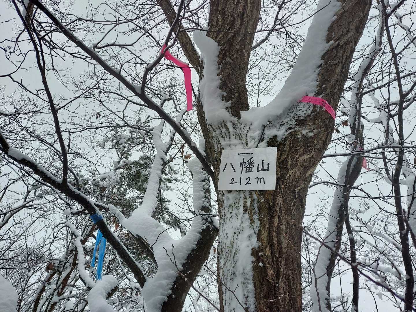 八幡山到着🙌