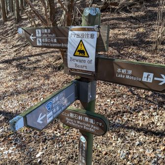 国道渡って入るとすぐに看板有ります。
でも、看板の無い真っ直ぐ方向に進みます🤣