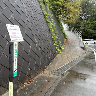 この坂をのぼっていきます☔️