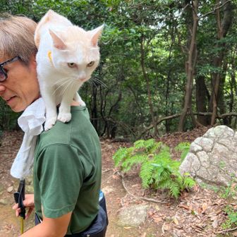 はぎ太郎くんという猫さんに会うの2度目🐈