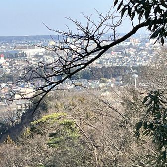 浅間岳からの下山途中の羽村神社から。