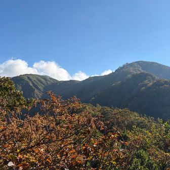 てっきりこのどっちかが経ヶ岳だと思った😅
実はまだ見えない…