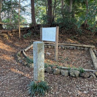 賎機山🏔️

静岡のしずは、ここからだとかなんとか