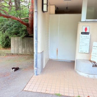 ちびも外にいました