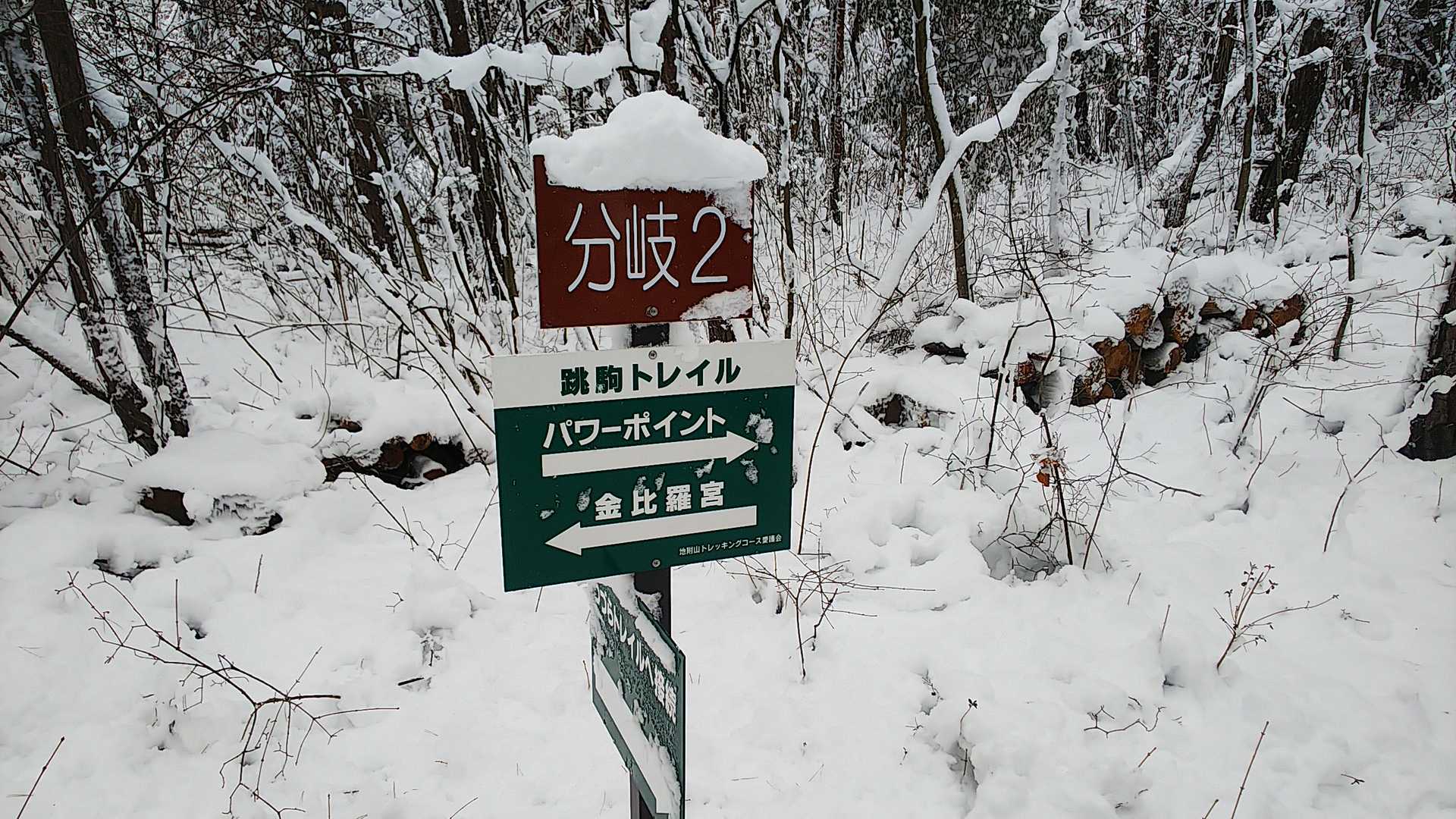 パワーポイントからの眺めに期待して