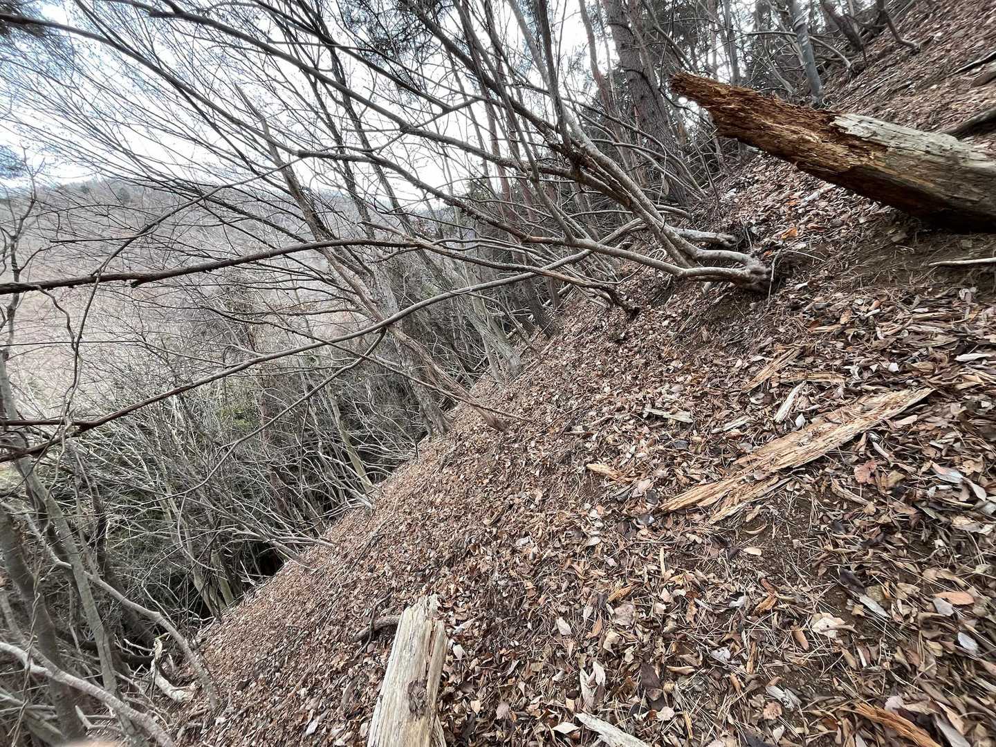 この急登具合わかりますか？
おかわり登山にしてはかなりの勾配　