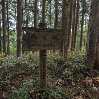 高谷山
