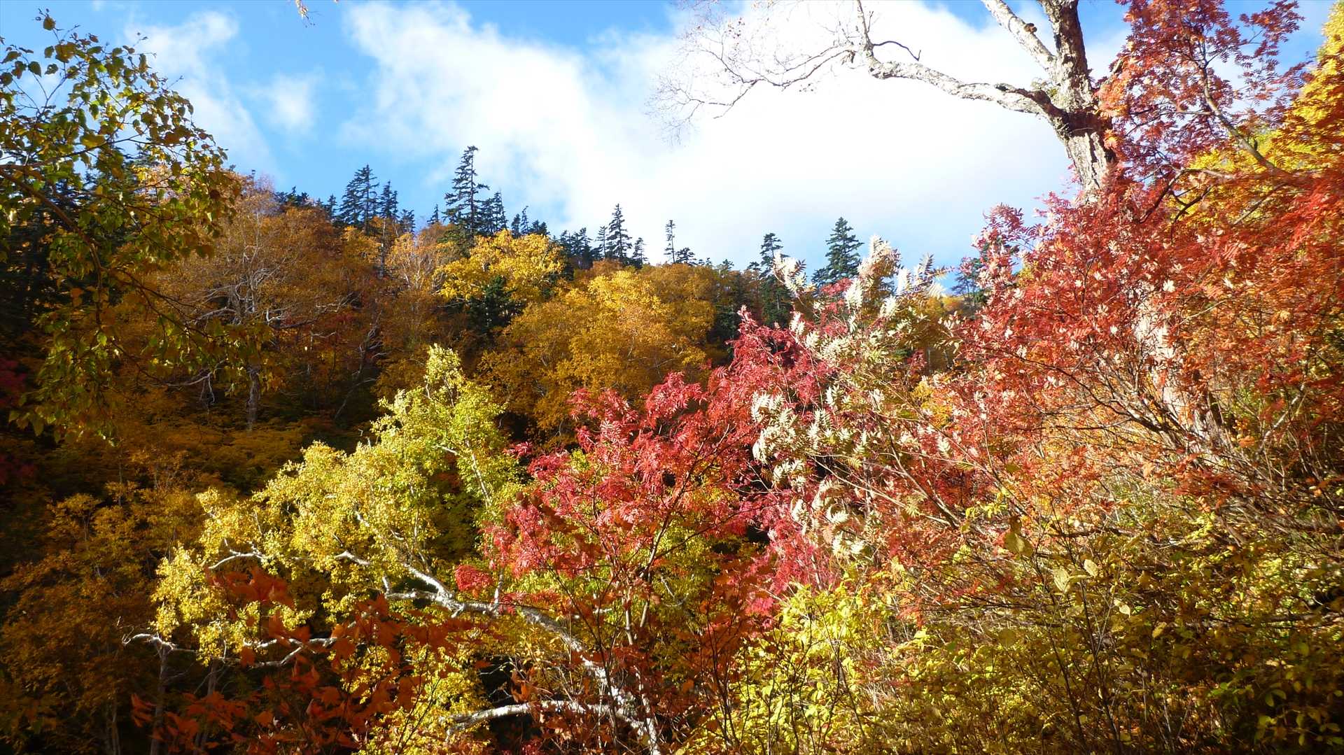 平山 往復コースの写真