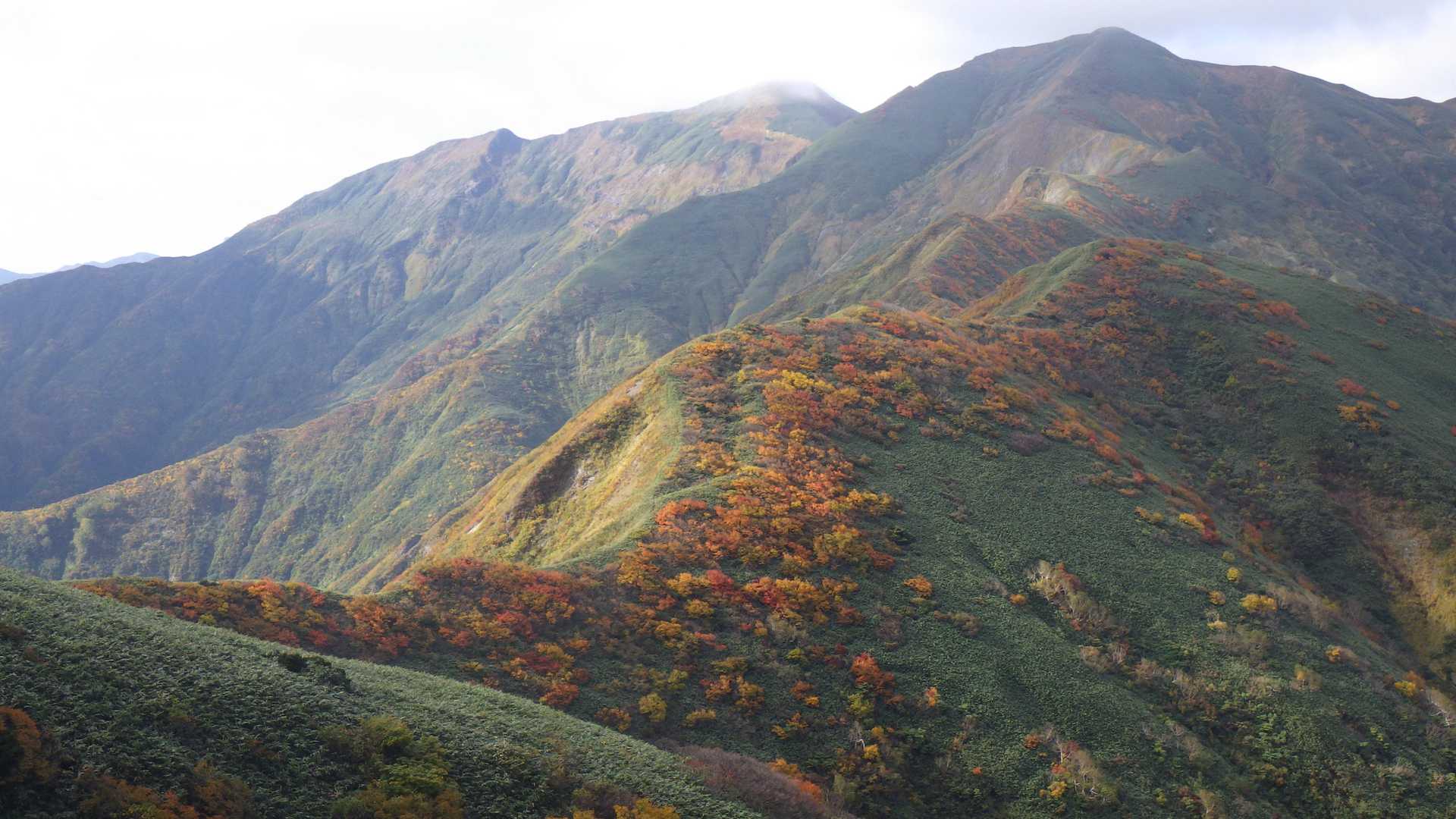 三十倉-本谷山 往復コースの写真