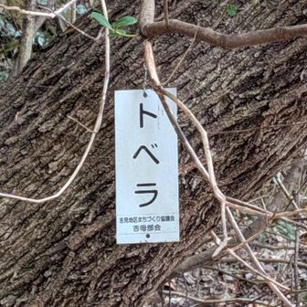 何でこれが気になったんだろ🤔