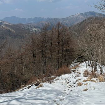 鷹ノ巣山の次のピークである日蔭名栗山より少し進んだ所からの展望
縦走路を一望できた他、ここで初めて盟主の雲取山を見ることができました。