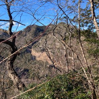 アソコにいたんだよ