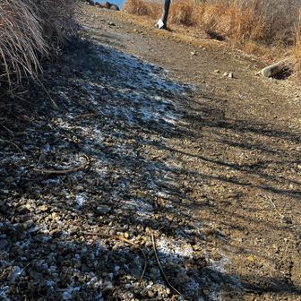 昔はよく踏んで遊んだね～しみじみ