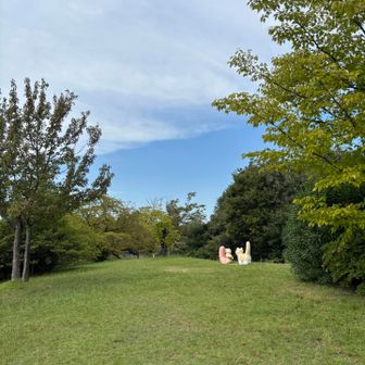 山頂はよく整備されていて（芝生）気持ちがいいです😆　リスやネコのオブジェがありました