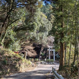 シャトルバスあればいいなとバス停向かうと目の前で行ってしまった😱
なので仕方なく太宰府駅まで走ることに。
ラクさせてくれなかった😅