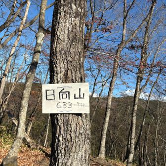 1時間ほどで日向山