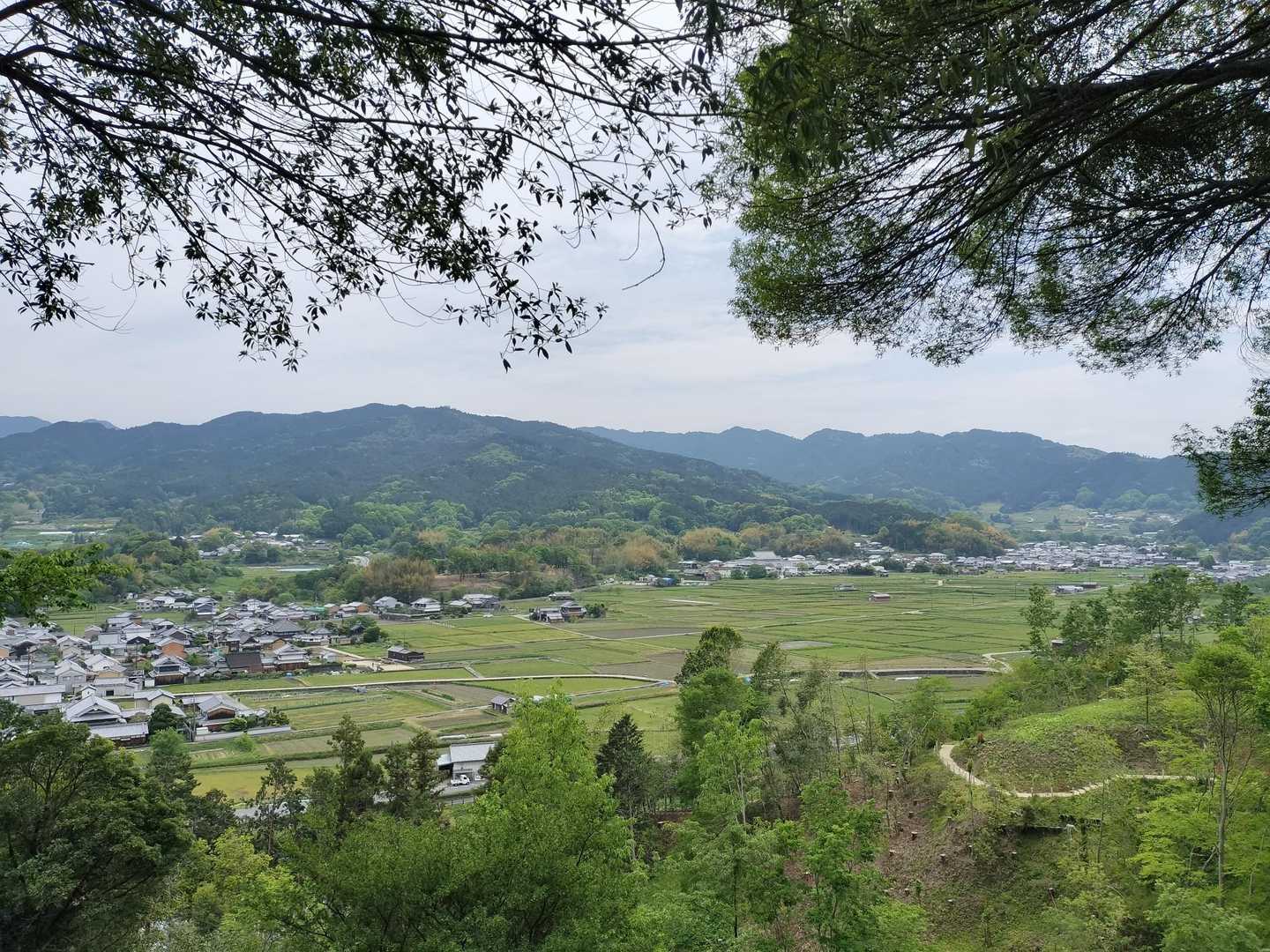 甘樫丘 往復コースの写真