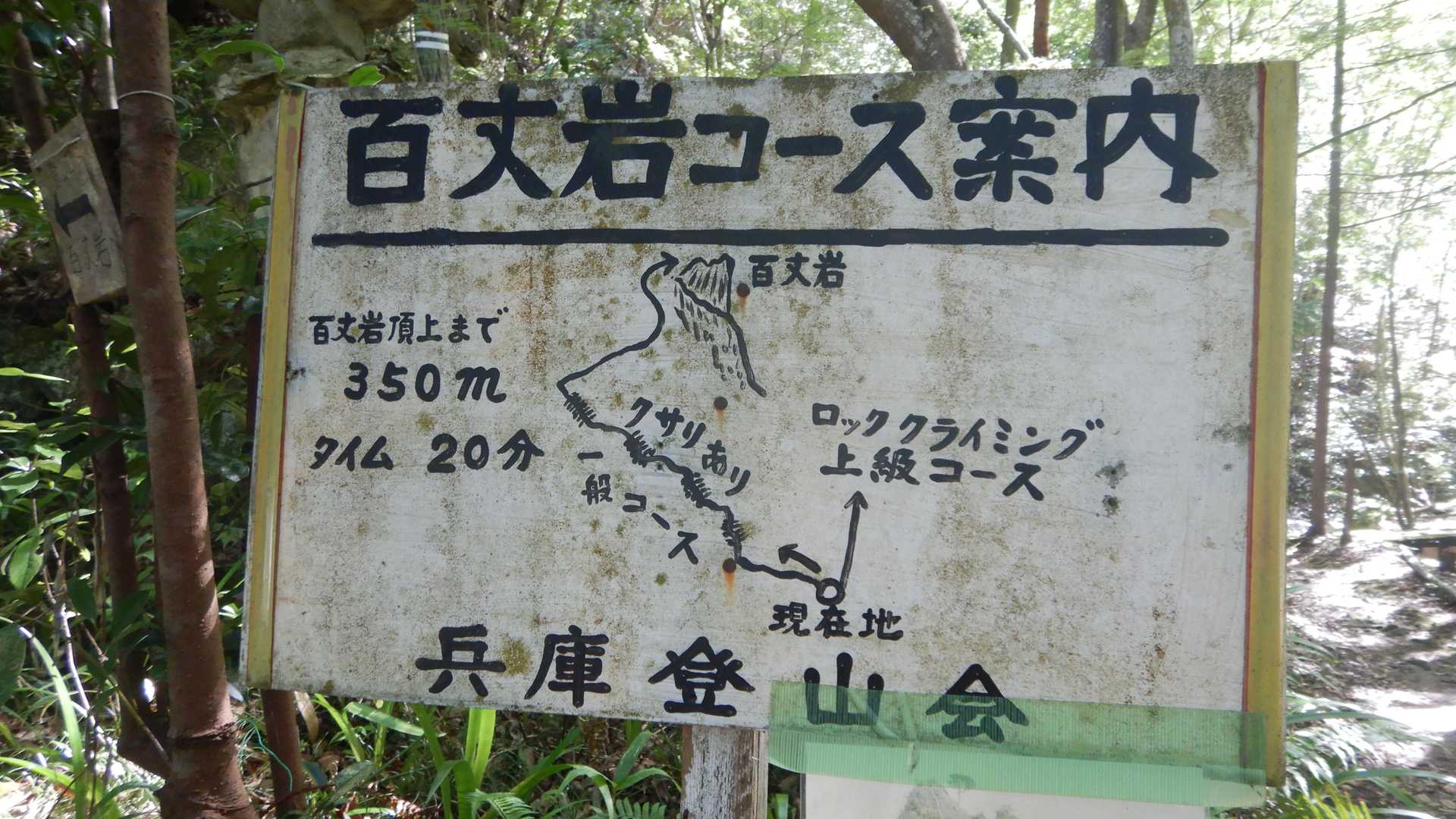 一般コースを登ります。