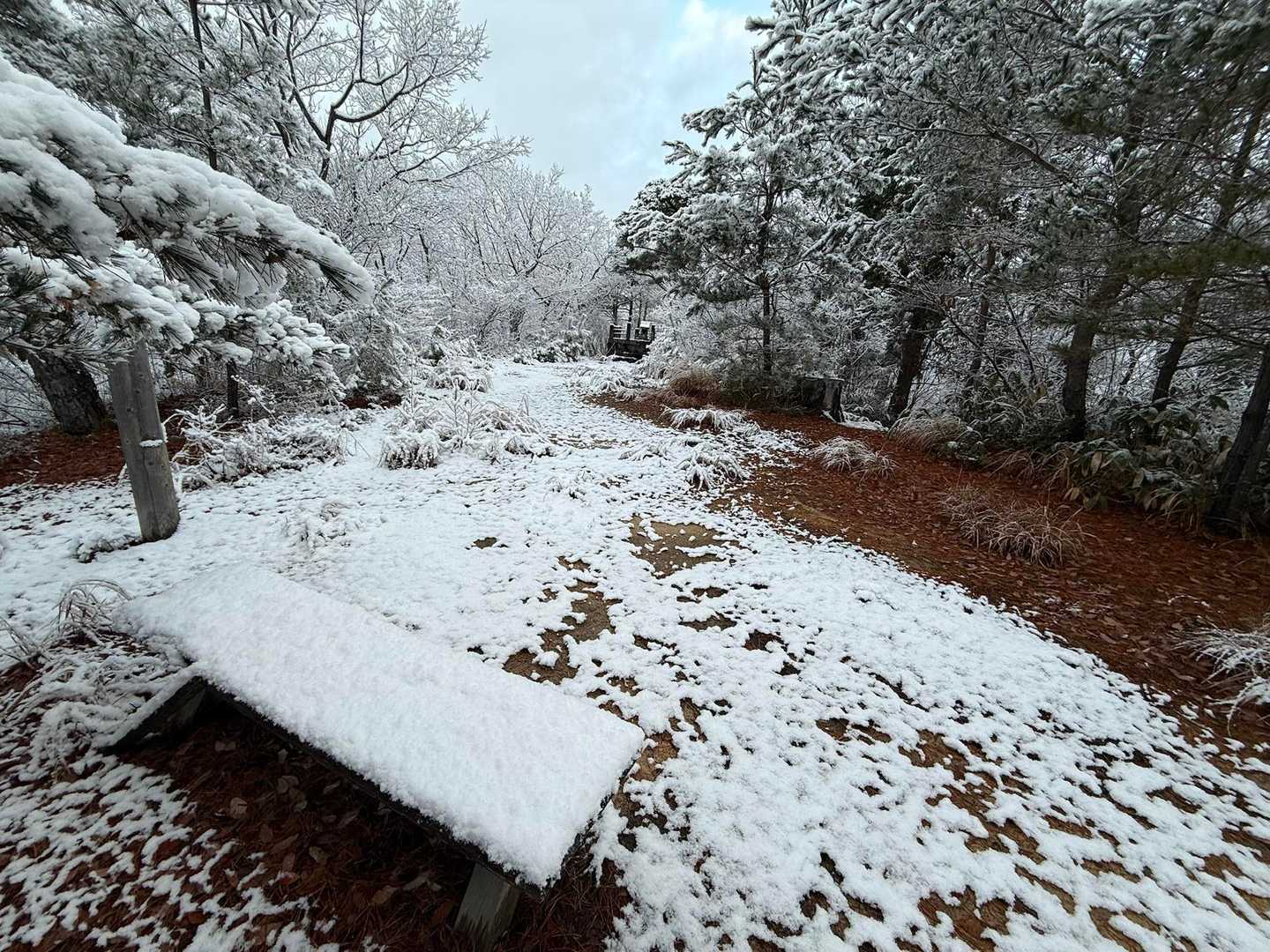 凍えそうなベンチ
なんかの歌のフレーズでそんな言葉あったな
🤫なんだっけ？