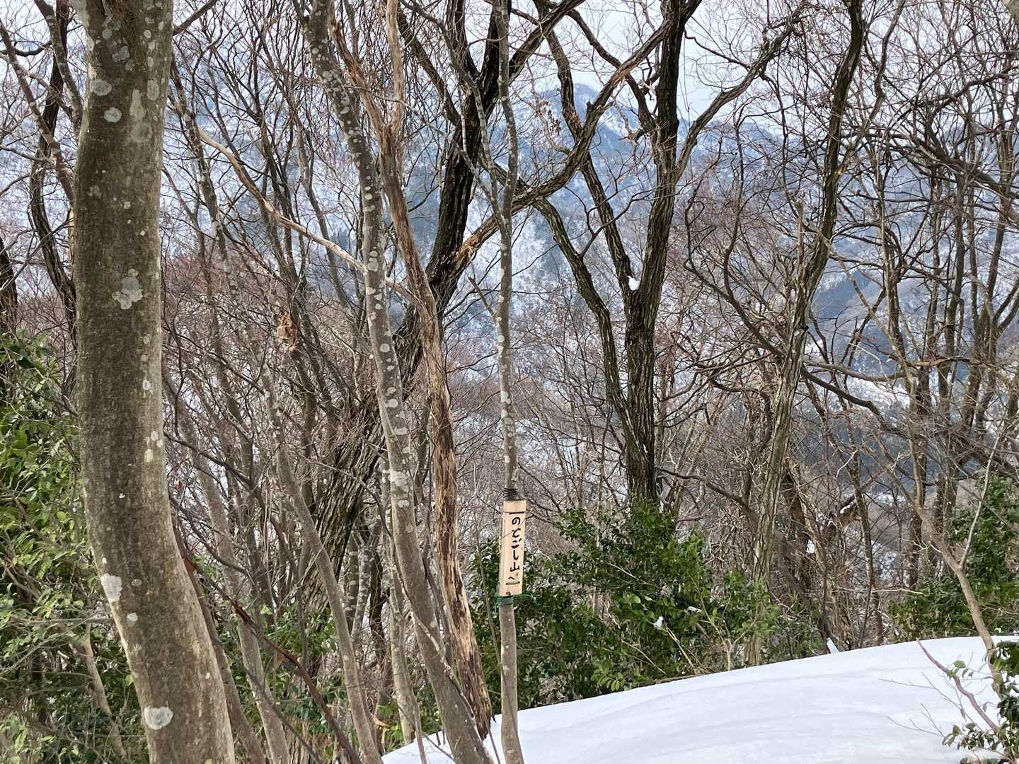 のどごし山？？
