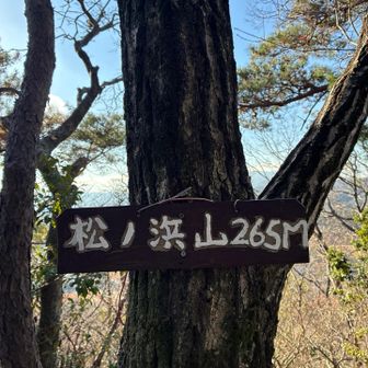 ⑤松ノ浜山　すぐ引き返して次へ急ぐ