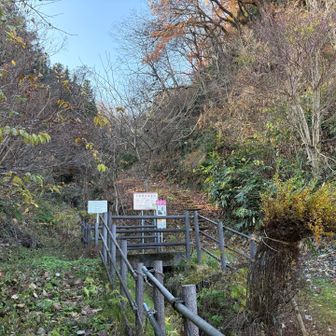 登り始めから急な階段状の坂