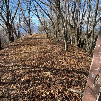 このルートの最高峰なのに、寂しい子ノ神の山頂標