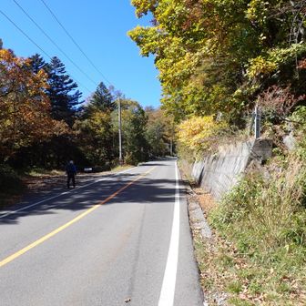 あとは駐車場まで1.2kmの歩き