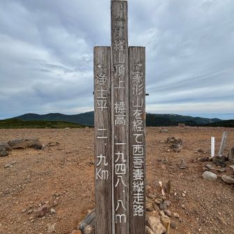 楽チン