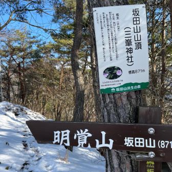 ここまででけっこうバテてます。ひさしぶり&足元が滑るのがこたえた模様。