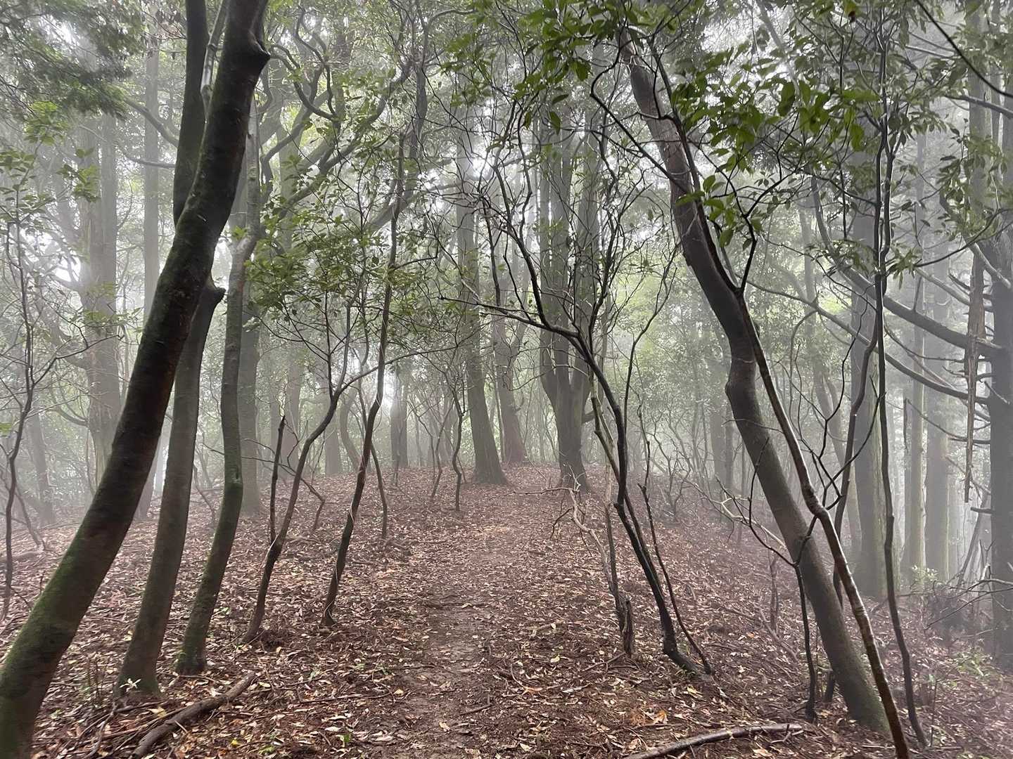 足元は終始最高👍
霧がイイ感じ😁
