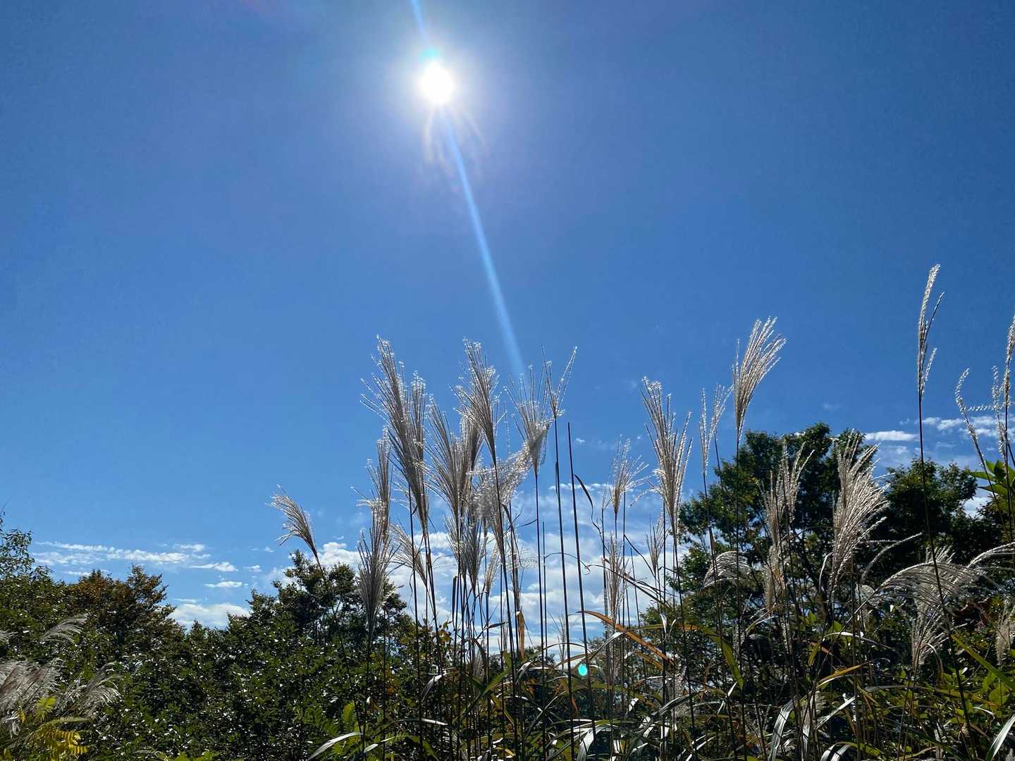 無事に下山。
三ツ石山の紅葉とても素敵でした💕
紅葉の時期の周回コースもいつか
挑戦してみたいな😊
対照的なお山の紅葉を楽しむことが出来て
贅沢な二日間でした♪