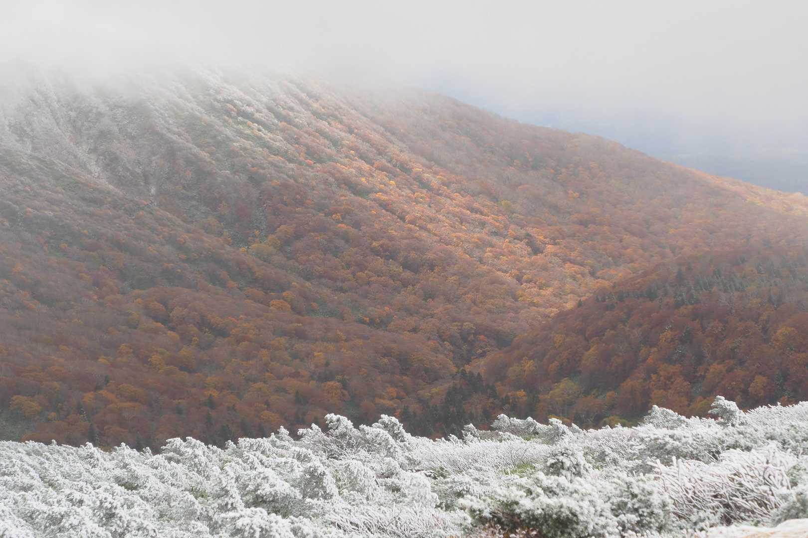 ふわっと雲が切れて、向こうに色づいた山が！
