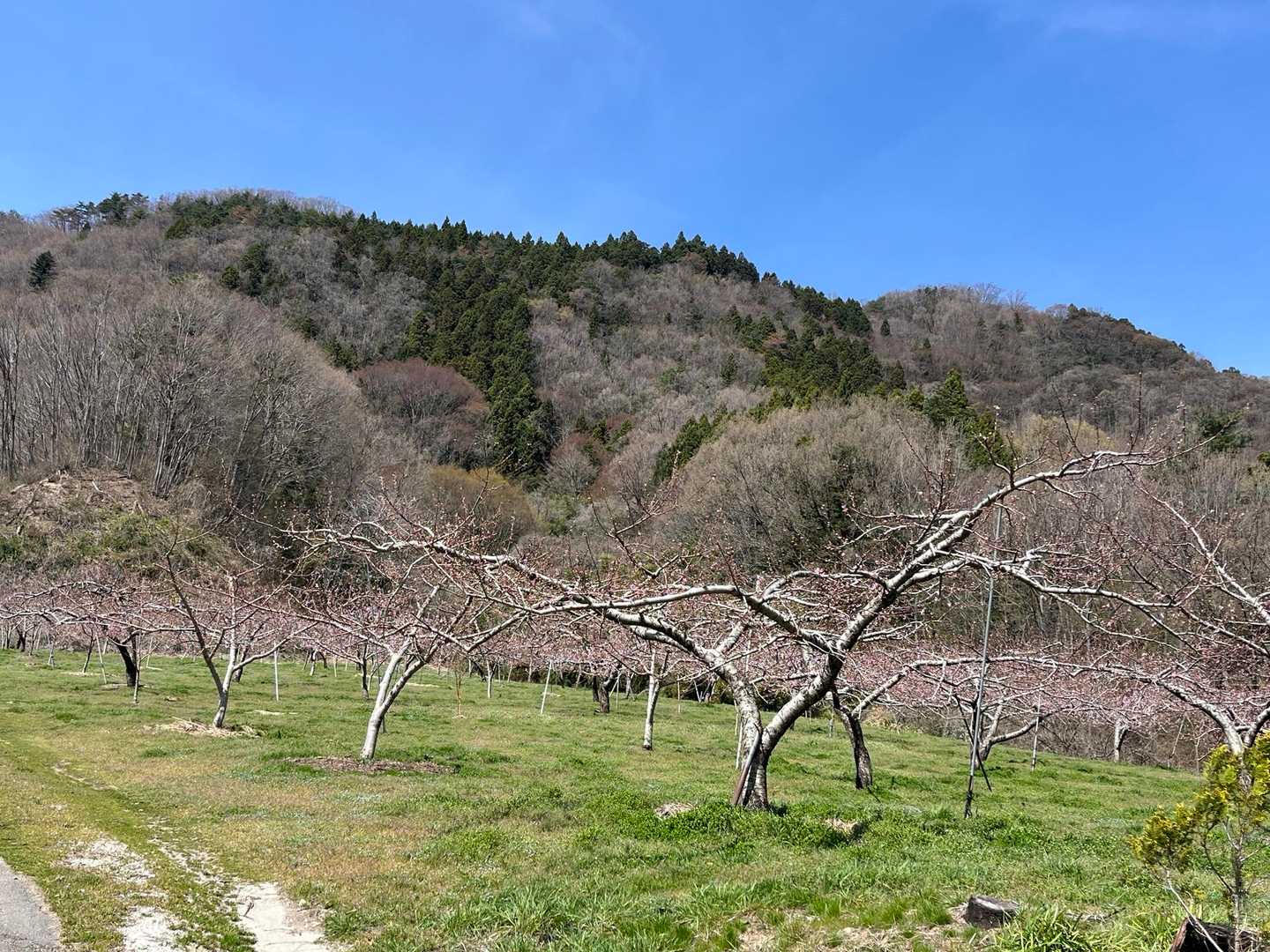目指す御幸山⛰️向かいます🥾