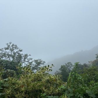 雨がなかなかやまない。