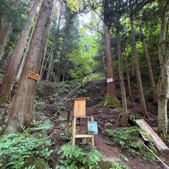 今畑登山口より入山しますが、これがなかなかキツい急登です。