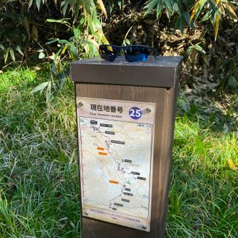 まだサングラスは残っていた。
後に帰ってくる人のものであればよいが。