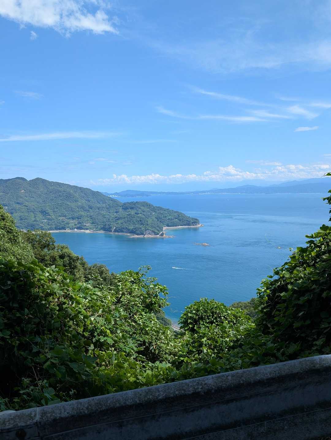 空海展望台入口-十文字山-高雄山 周回コースの写真