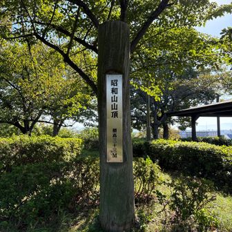 あっという間に山頂です⛰️