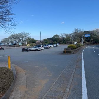 伊豆山稜線歩道の本当のゴール地点は修善寺虹の郷ってとこまで行くんだけど特にこだわりないからここで終わり〜