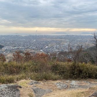 山頂立ち入り禁止内から
ザワザワと獣の移動音（鹿かな？）