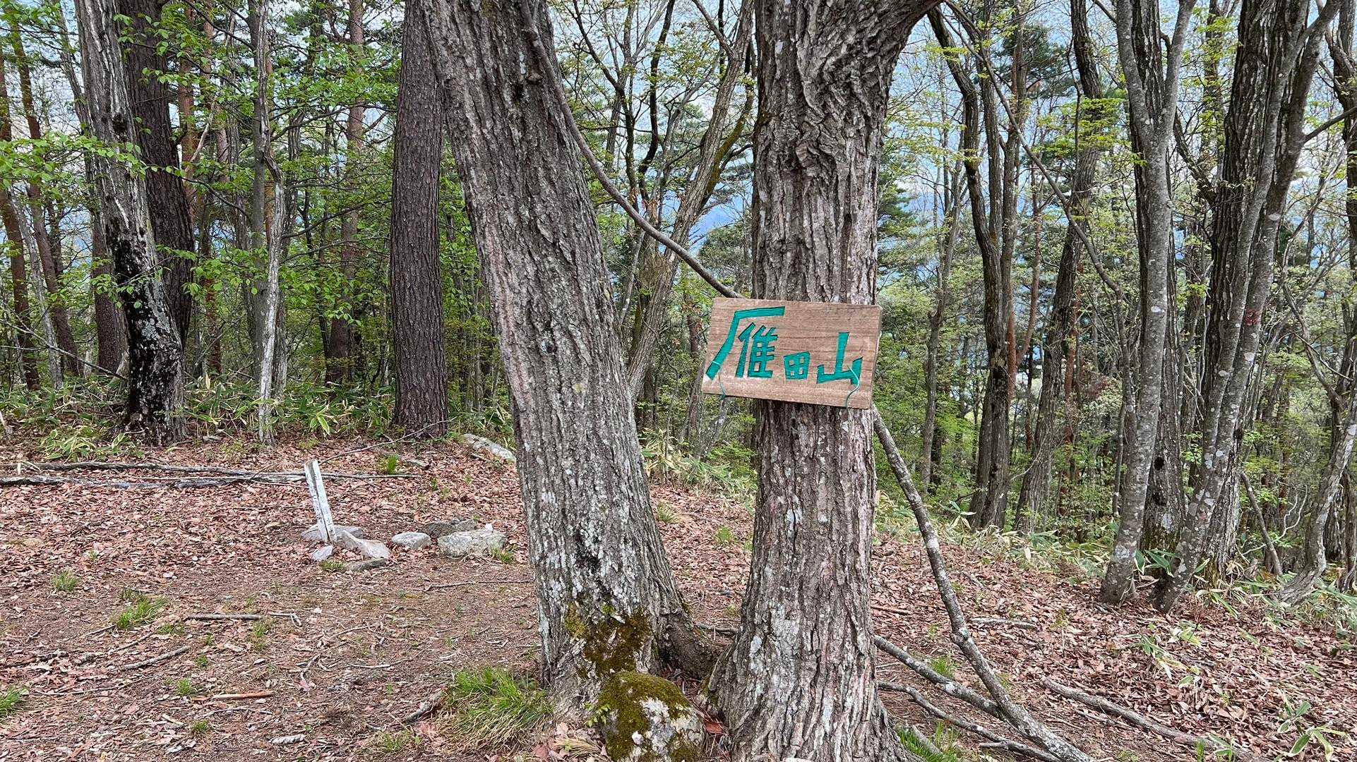看板で家族揃っての写真撮ってあげました。