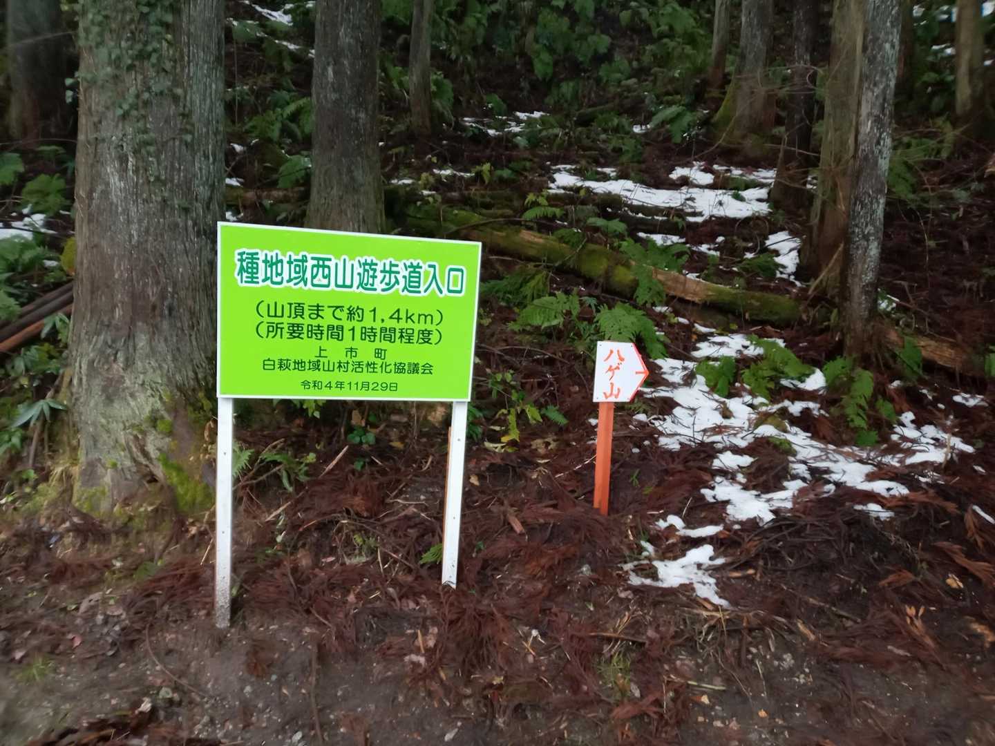 どこに行こうか、迷った挙句、折角なので登ったことのないハゲ山の新ルートに行ってみました。道路を西種のほうに向かうと、途中大きな看板が見え、そこが登山口です。